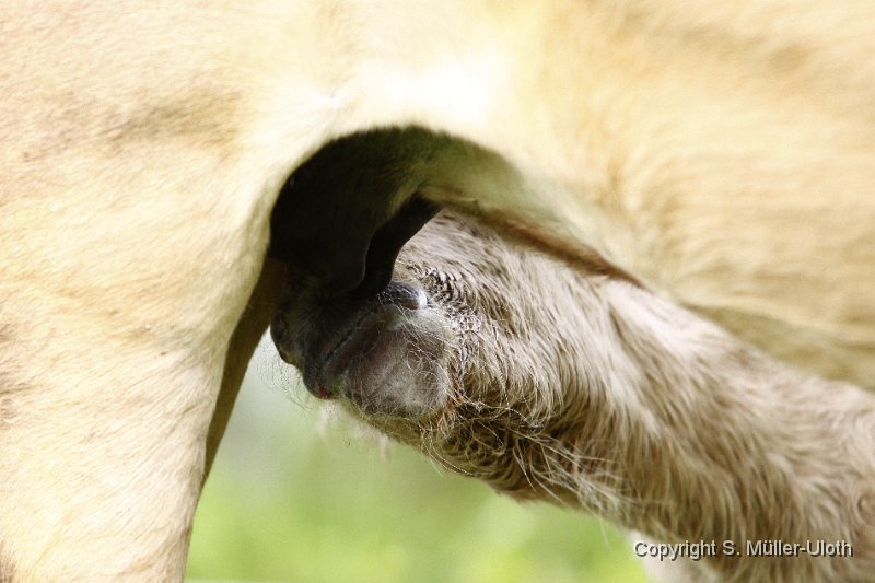 Hjoerdis 53 Min alt (2).JPG